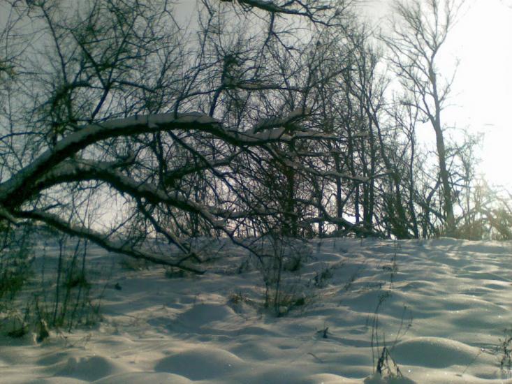 Федорівка з panoramio.com - Федорівка