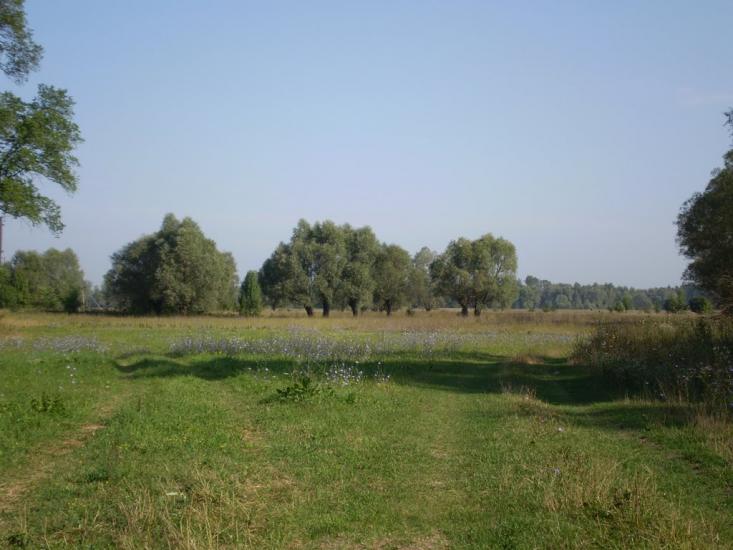 Перевіз з panoramio.com - Перевіз