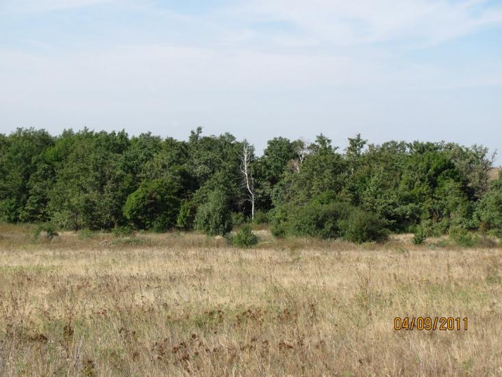 Шимшинівка з panoramio.com - Шимшиновка