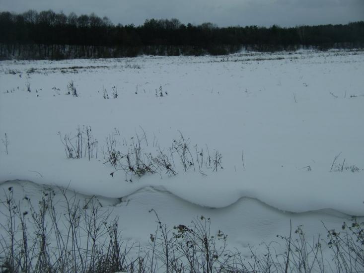 Березань з panoramio.com - Berezan