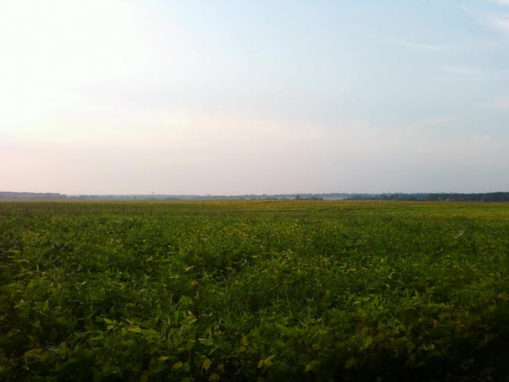Сальник з panoramio.com - Сальник