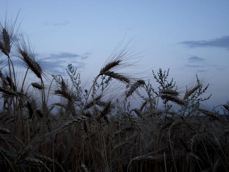 Підгородне з panoramio.com - Подгородное