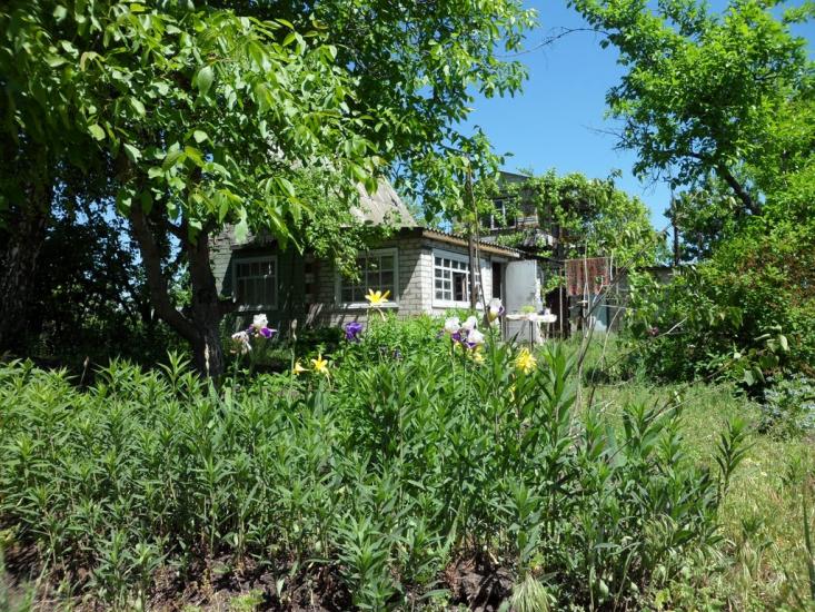 Недогарки з panoramio.com - Недогарки