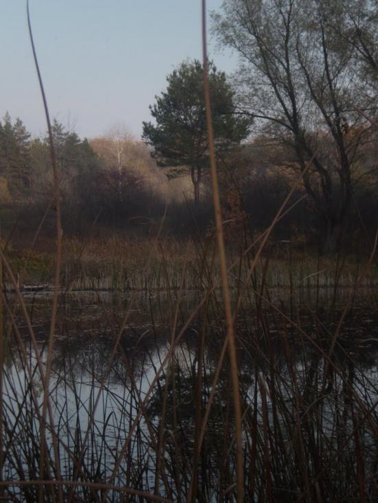 Кобеляки з panoramio.com - Кобеляки