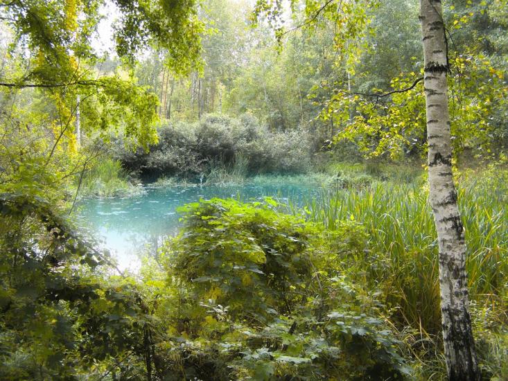 Огірцеве з panoramio.com - Огурцово