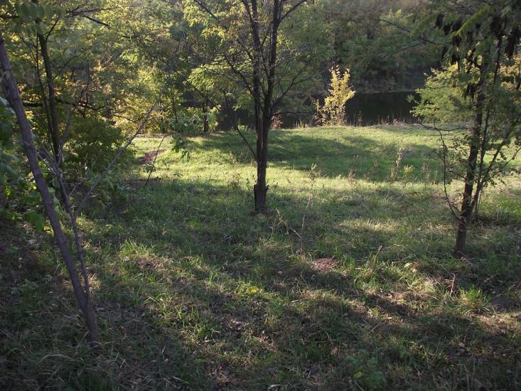 Рясне з panoramio.com - Рясное