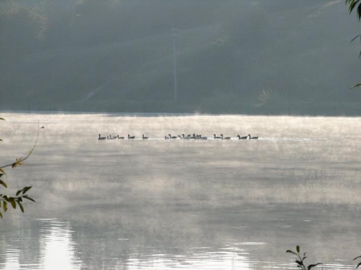 Уланів з panoramio.com - Уланів