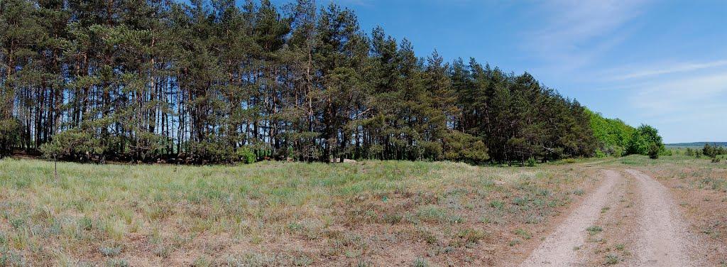 Кицівка з panoramio.com - Кицевка