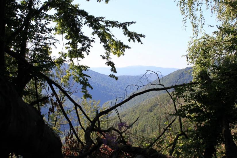 Вовчий з panoramio.com - Волчий