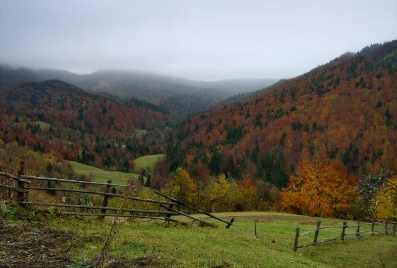 Турички з panoramio.com - Турички