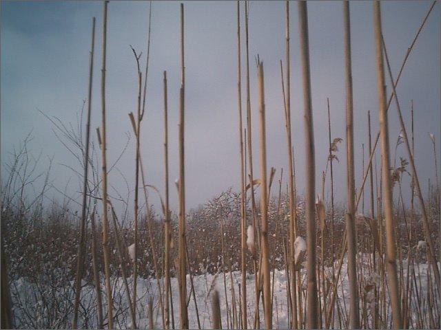 Любомль з panoramio.com - Любомль