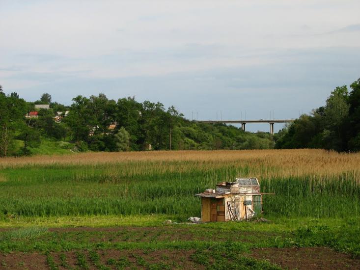 Кочеток з panoramio.com - Kochetok