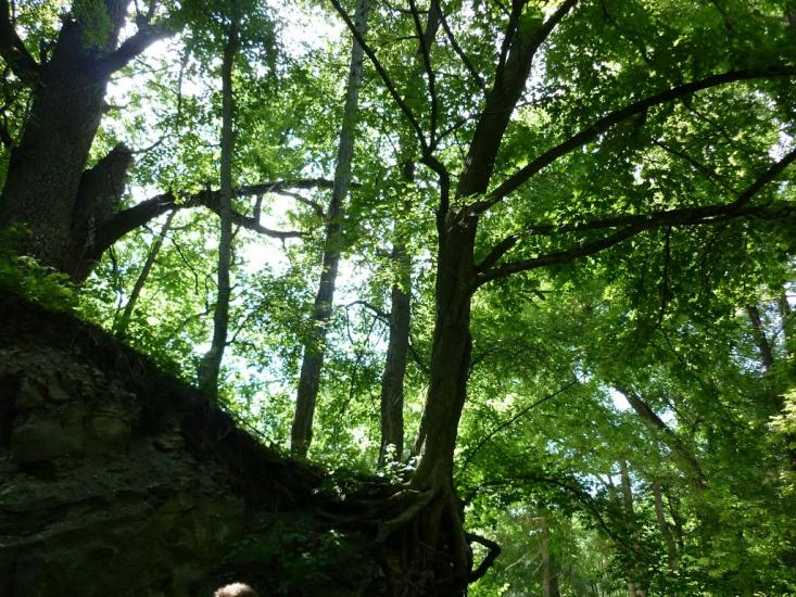 Юрківці з panoramio.com - Юрковцы