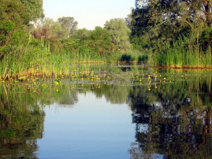 Чикалівка з panoramio.com - Чикаловка