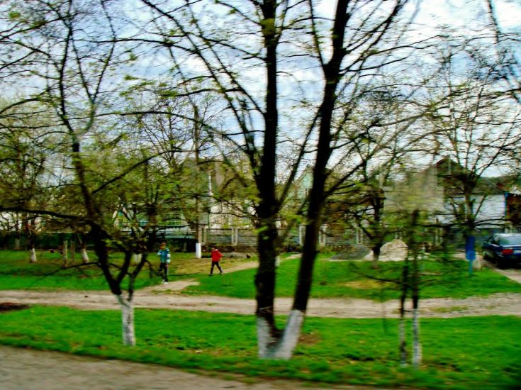 Тараща з panoramio.com - Тараща