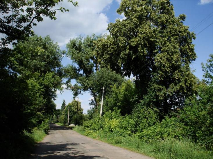 Кончаки з panoramio.com - Кончаки