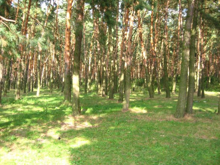 Гончарівка з panoramio.com - Гончарівка