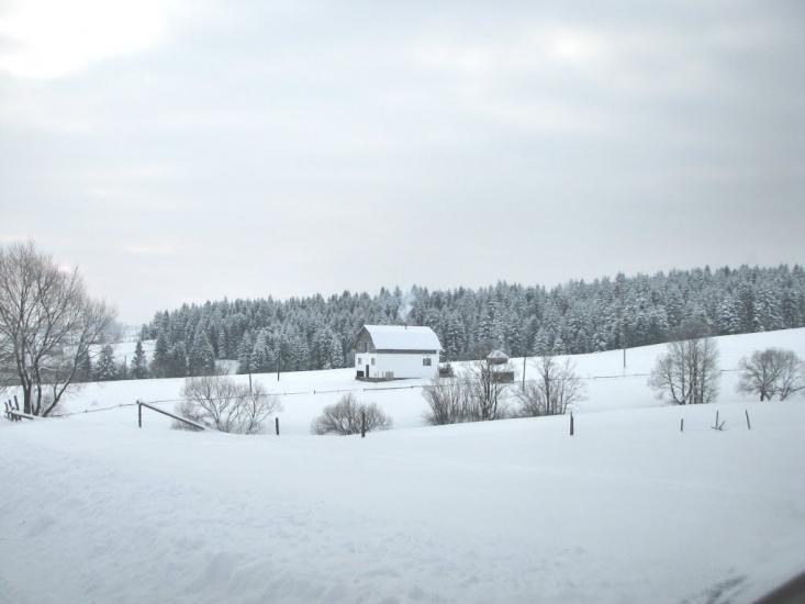 Шандровець з panoramio.com - Шандровец