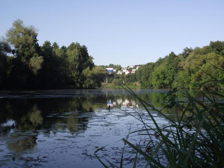 Чмирівка з panoramio.com - Чмыревка