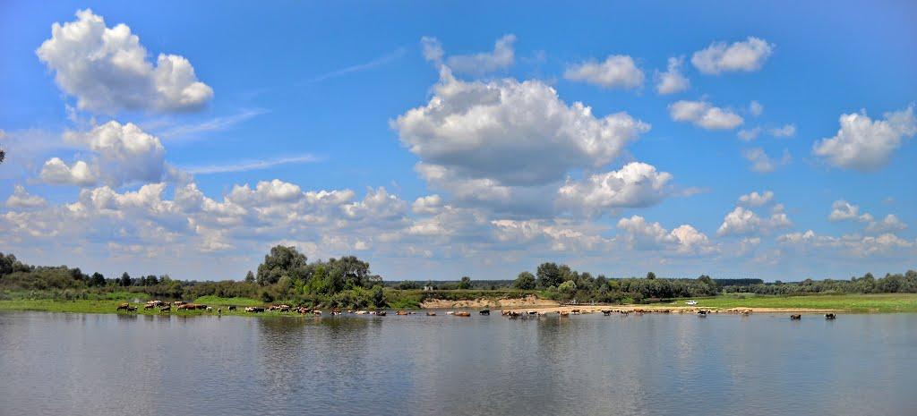 Оболоння з panoramio.com - Оболонье