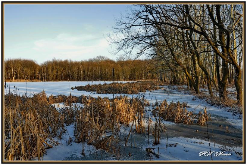 Привілля з panoramio.com - Pryvillya
