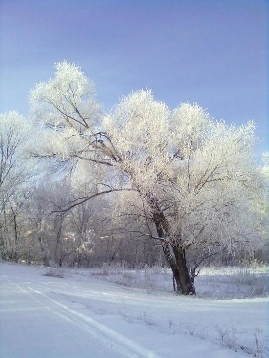 Морозівка з panoramio.com - Морозовка