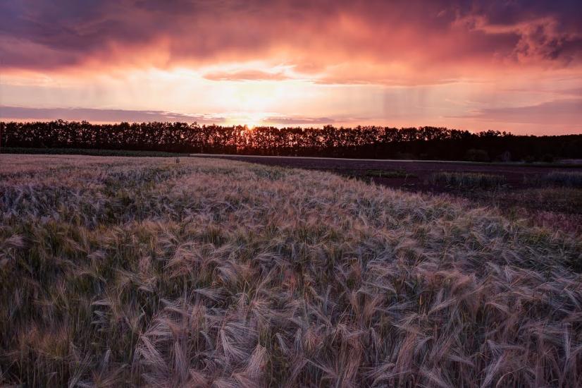 Високий з panoramio.com - Высокий