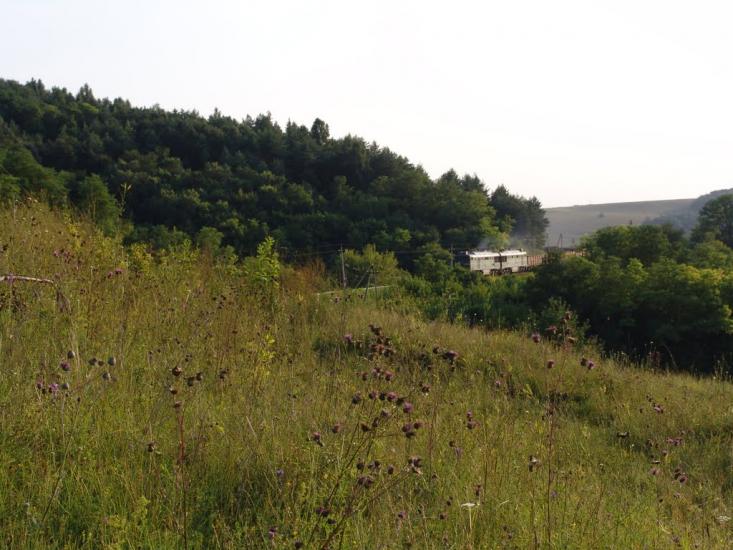Юрківці з panoramio.com - Юрковцы