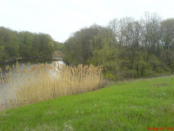 Верхньокам'янка з panoramio.com - Верхнекаменка