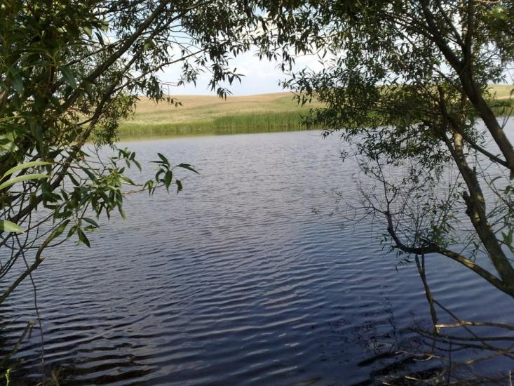 Пінчуки з panoramio.com - Пинчуки