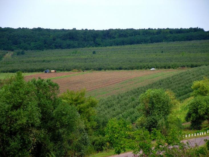 Садківці з panoramio.com - Садківці