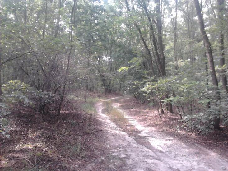 Березань з panoramio.com - Березань