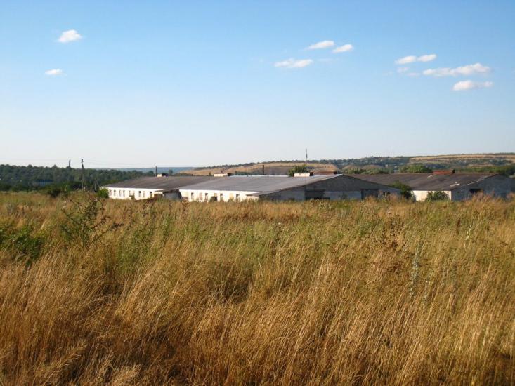 Малокостянтинівка з panoramio.com - Малоконстантиновка