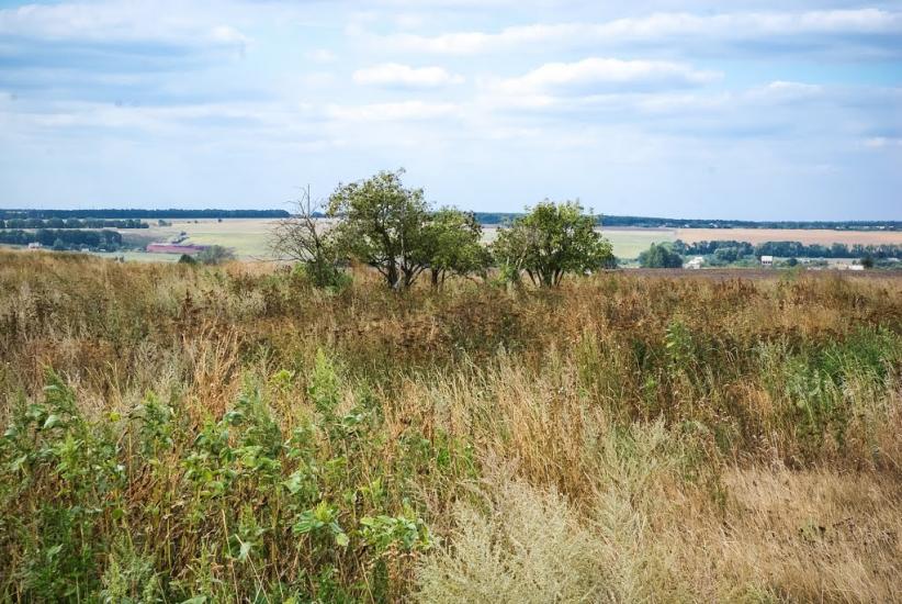 Гожули з panoramio.com - Гожулы