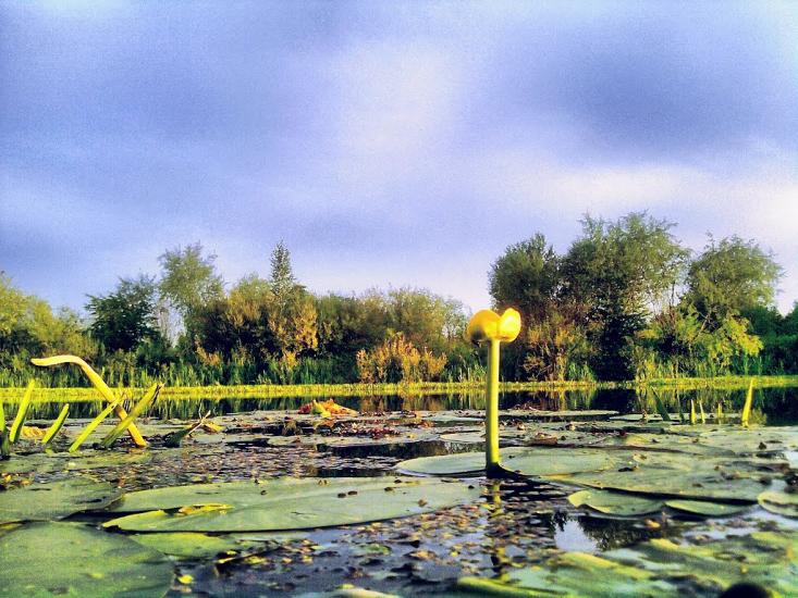 Сарни з panoramio.com - Сарни