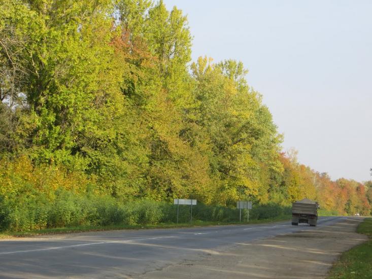 Бохоники з panoramio.com - Бохоники