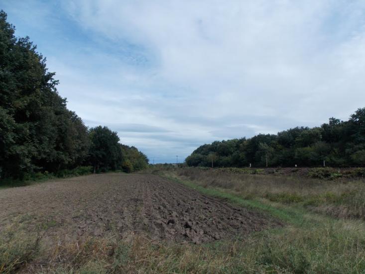 Зятківці з panoramio.com - Зятківці