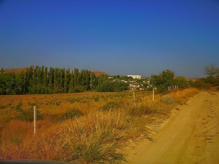 Каштани з panoramio.com - Каштани
