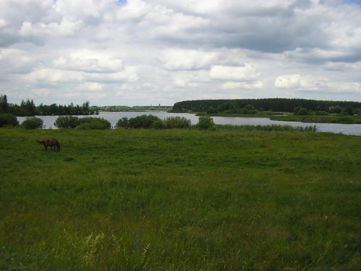 Зноб-Новгородське з panoramio.com - Znob-Novgorodske