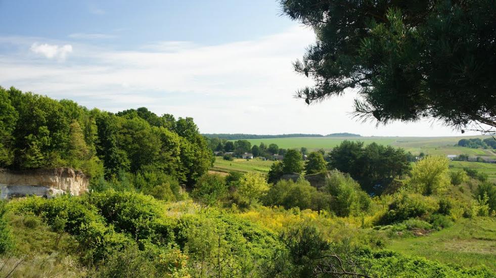 Борщівка з panoramio.com - Borschivka