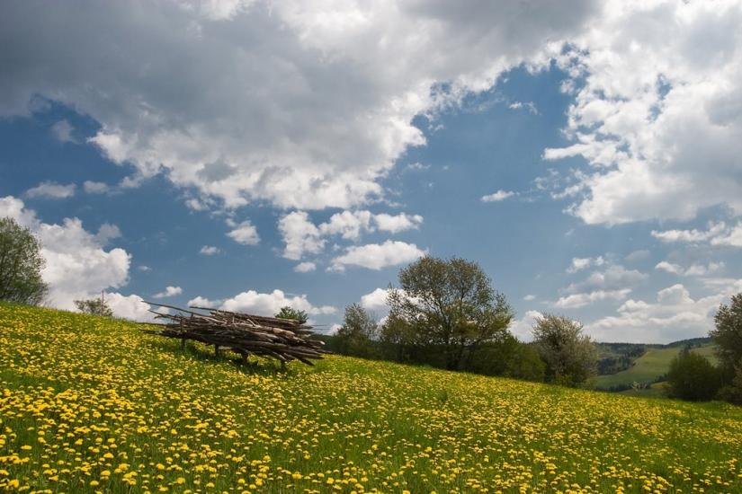 Тухолька з panoramio.com - Тухолька