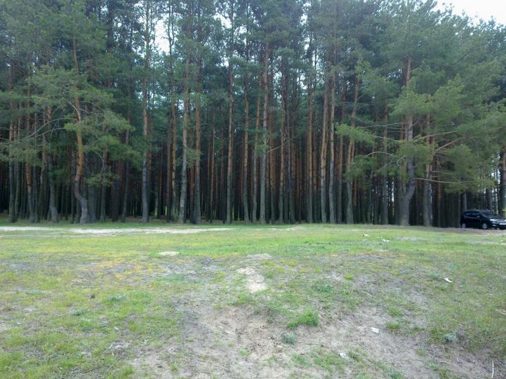 Линея з panoramio.com - Линея