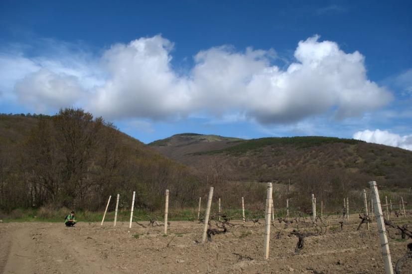 Лісне з panoramio.com - Лісне