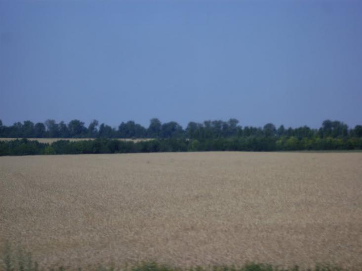 Болгарка з panoramio.com - Болгарка