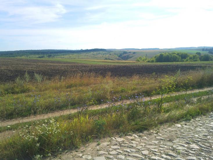 Могриця з panoramio.com - Mogrytsya