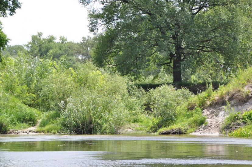 Буланове з panoramio.com - Bulanove