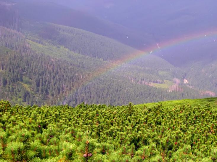 Кузьминець з panoramio.com - Кузьминець