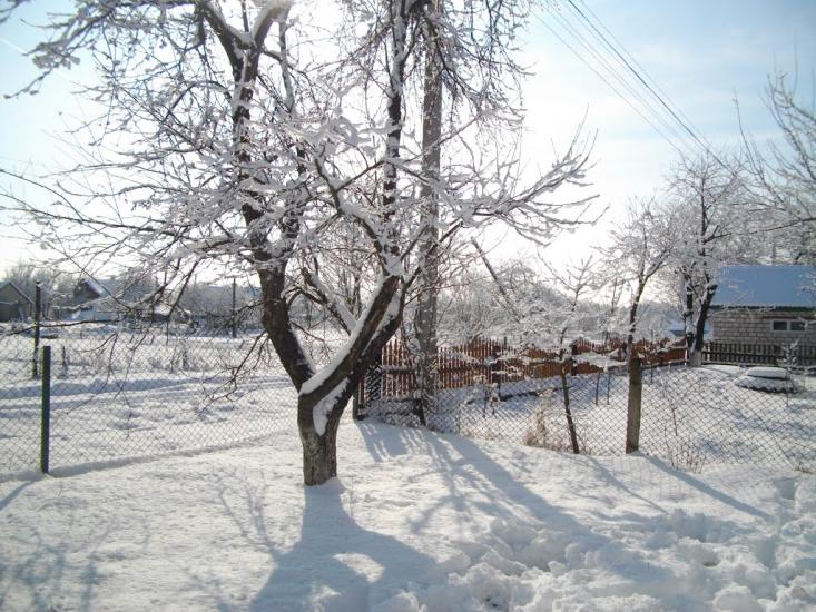 Озеро з panoramio.com - Озеро