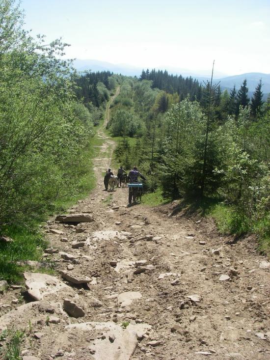 Завийка з panoramio.com - Завийка