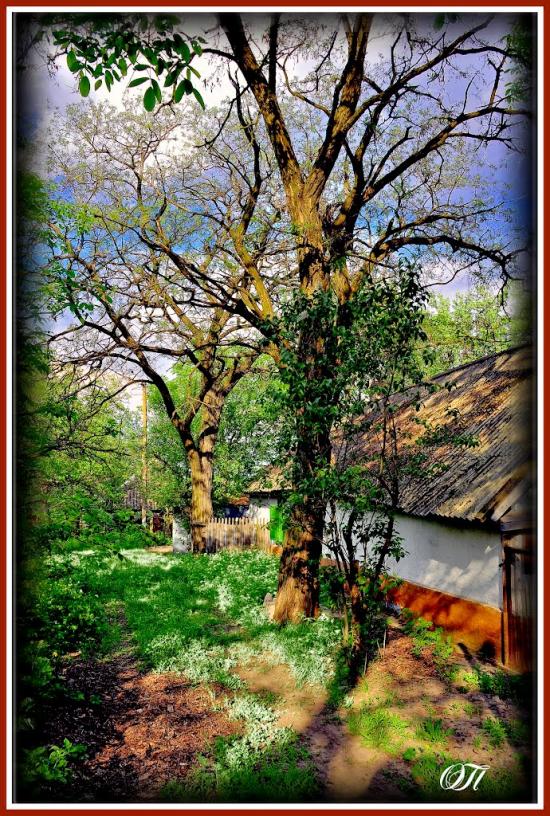 Майорка з panoramio.com - Майорка